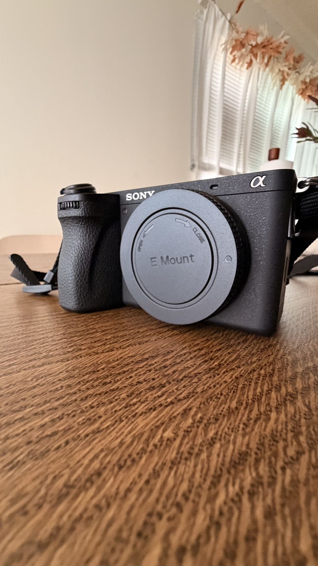 Sony a6700