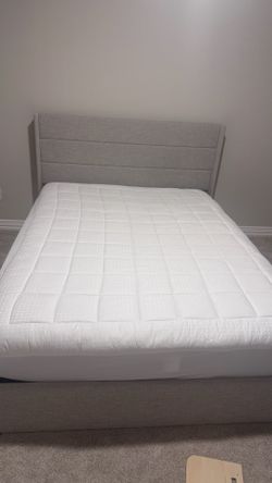 Queen Bed and Mattress