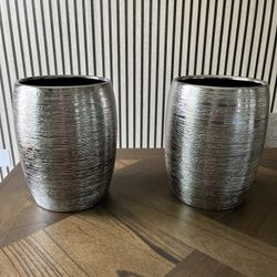 2 Decorative Pots/Vases