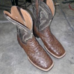 Dan Post Ostrich Boots 