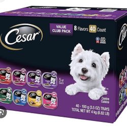 Perro/ Comida Gratis 