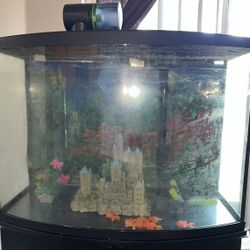 Fish Tank 