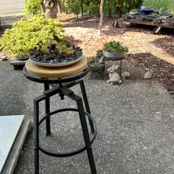 Plant Stand