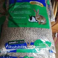 Rabbit Food