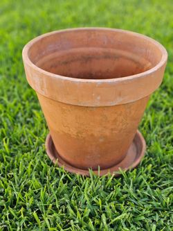 Terra Cotta Pot and Tray