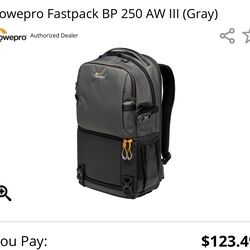 Fastpack BP 250 AW III from Lowepro