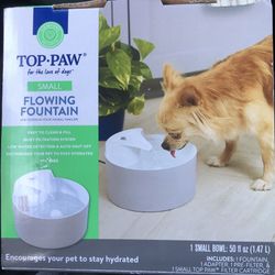 Pet Fountain 