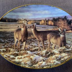 Bradford Exchange Plate “Twilight Serenity”