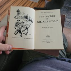 The Secret Of Wildcat Swamp