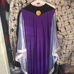 Sleeping beauty Wicked Witch  Costume