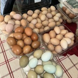 Organic Eggs