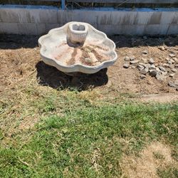 36 In across X 16 In High Shell Shaped Bird Bath 