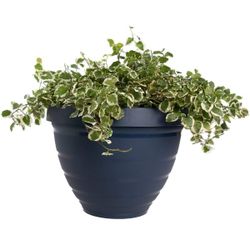 (4 Pack) Self Watering Planter Flower Pot 11.5"