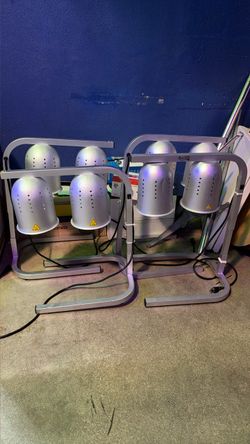 Heat Lamp