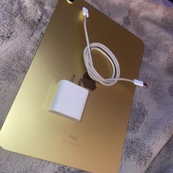 iPad 10th Gen 256 GB Cellular +Wifi