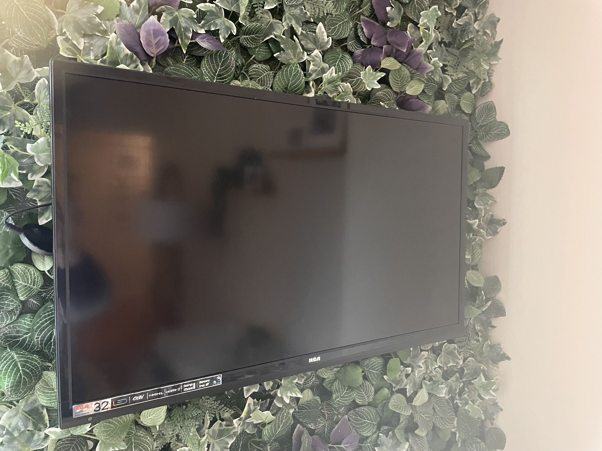 32 Inch TV + Wall mount + Chromecast