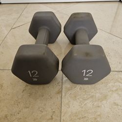 Dumbells 12 lbs