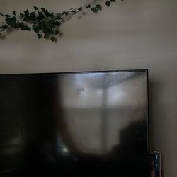 50 Inch Roku Tv W Remote