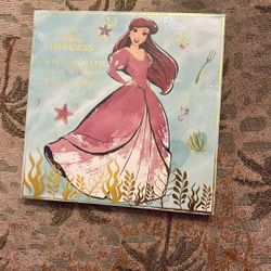 Princess Complexion Palette