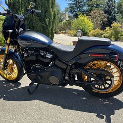 Custom Street Bob 2019