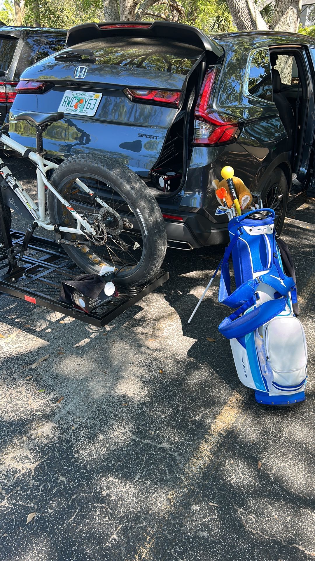 Golf Bag And Clubs