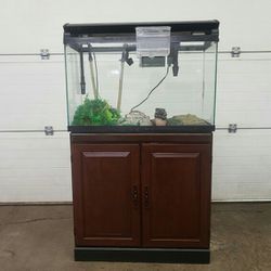 Full 30 Gallon Aquarium Setup