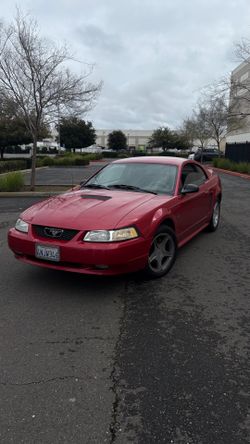 2000 Ford Mustang
