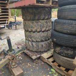 Bobcat Tire And Room