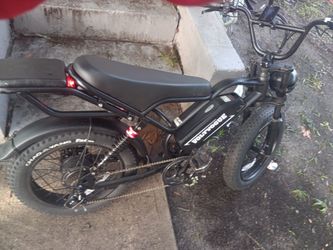 Pedal assist ebike