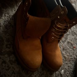 Almost Brand New Timber Lands 