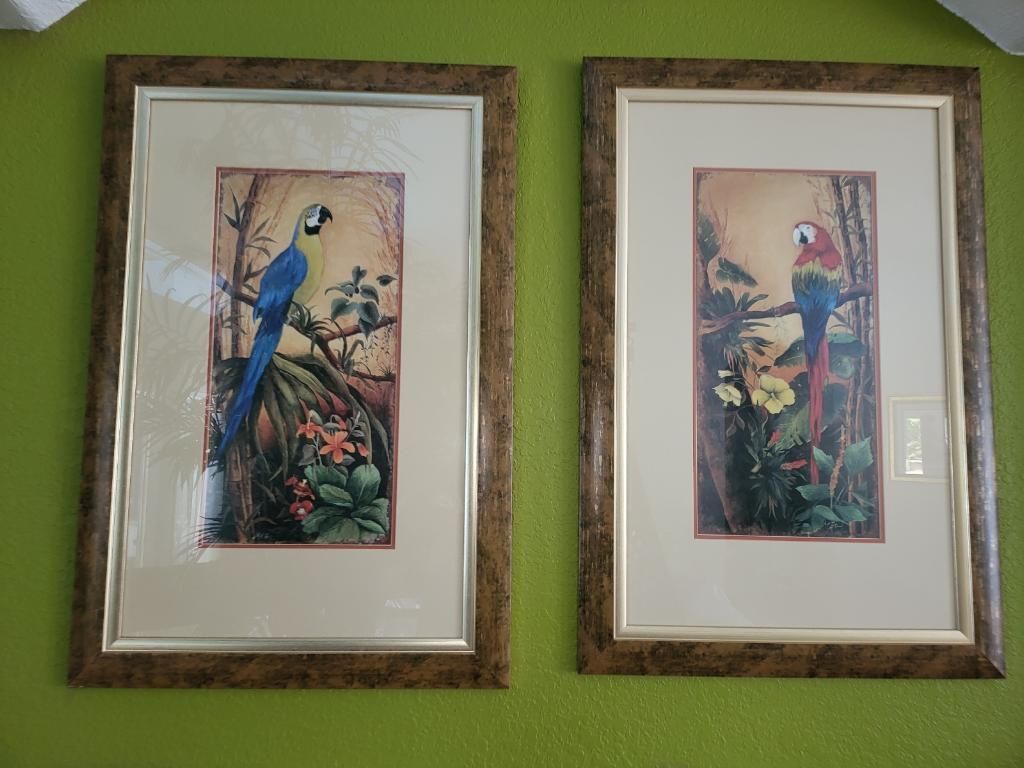 Pictures Art