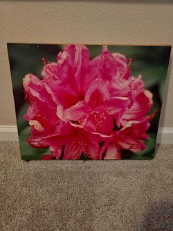 Rustic Pink Rhododendron Burlap Canvas Art Print - 20" x 16"