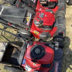5 Mowers 
