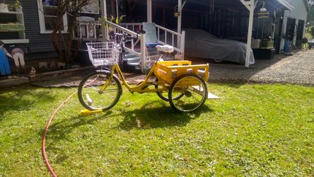 Adult tricycle