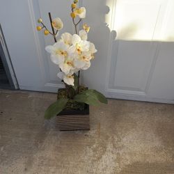 Artificial 2 Branch White Orchard In Wooden Box, $35