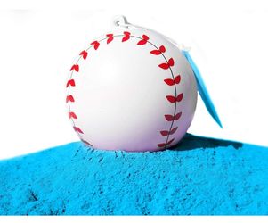 Gender Reveal Baseball Boy Only