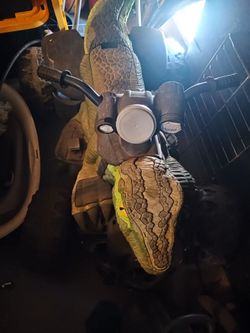Dinosaur power Wheels