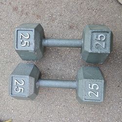 25 Lb Dumbbells Set