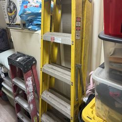 Fiber Glass 6 Foot Ladder