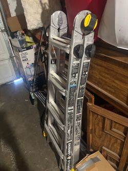 Ladder little giant gorilla