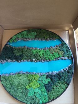 Resin And Preserved Moss Wall Art 16”
