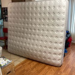 King Size Mattress And Box Spring Sealy Posturepedic