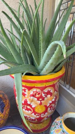 Large Ceramic Planter / Flower Pot