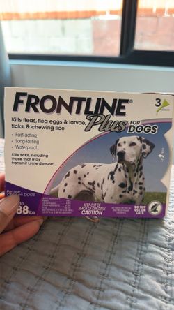 Dog grooming