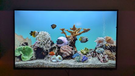 43 inch 4k Roku TV