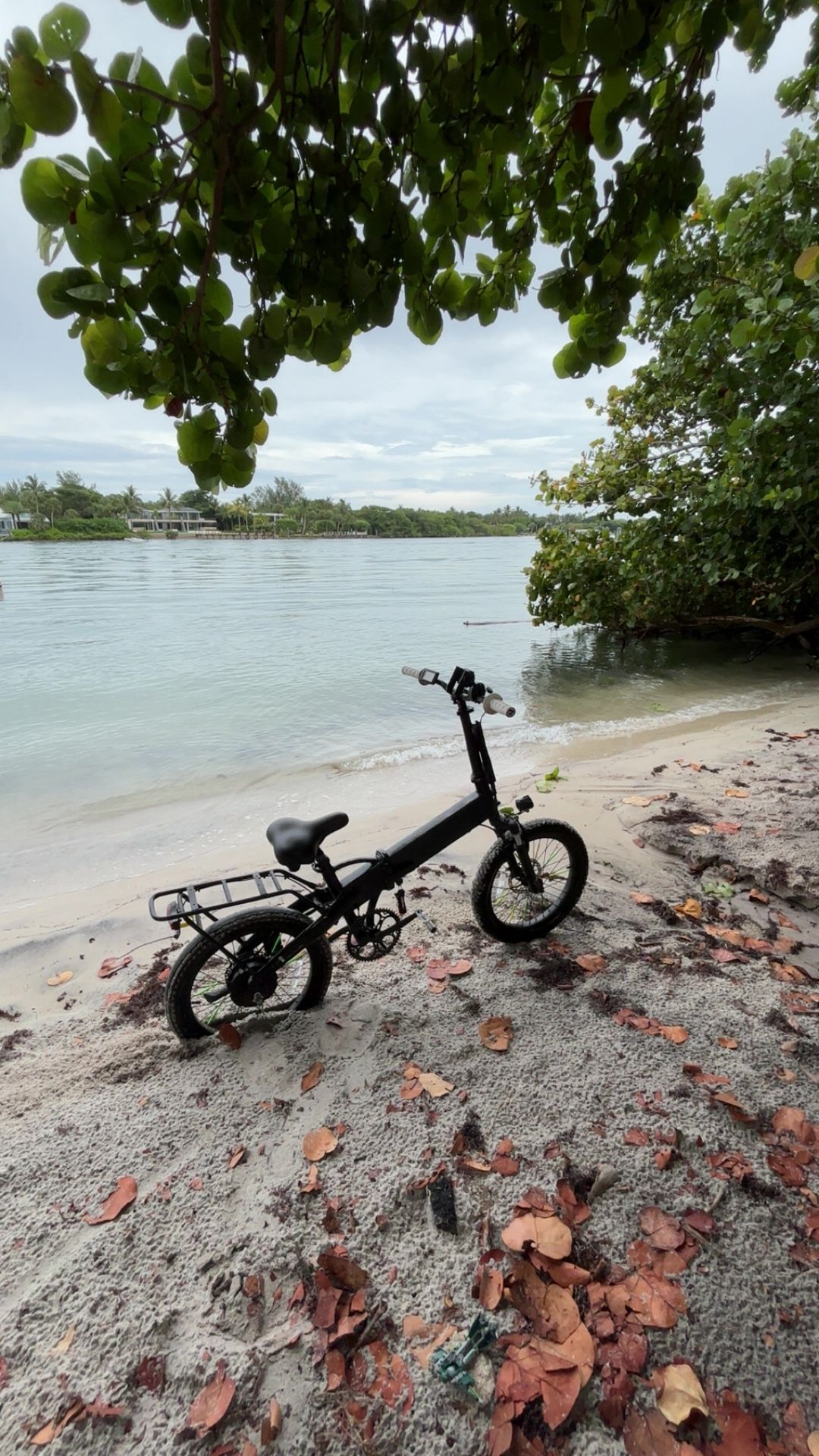 Folding E-bike WILL NEGOTIATE