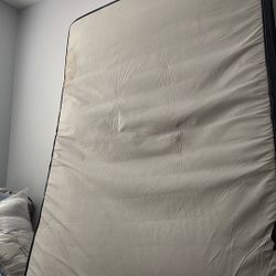 Mattress About Year Old Hardy Use 