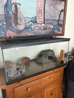Reptile tank