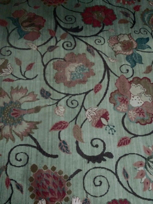 Area Rug 8'x11'