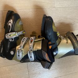 Ski Boots Salomon Ellipse 9.0